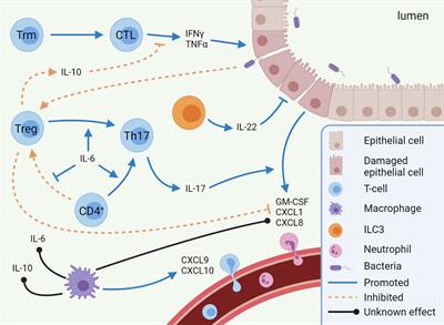 Mechanisms of Immune Checkpoint Inhibitor-Mediated Colitis